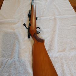 Carabine 22lr MANU ARME