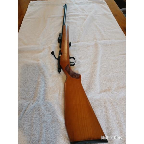 Carabine 22lr MANU ARME