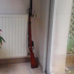 carabine Steyr 1895..