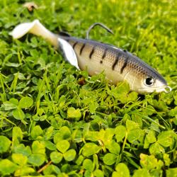 Leurre souple arm&eacute; Magnet Pike shad Zander 140 - Adam's