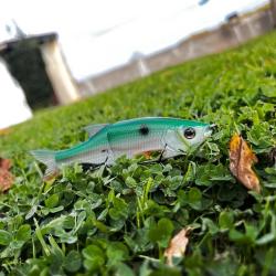 Leurre Molix Glide Bait 130 Floating 28G ghost gizzard shad