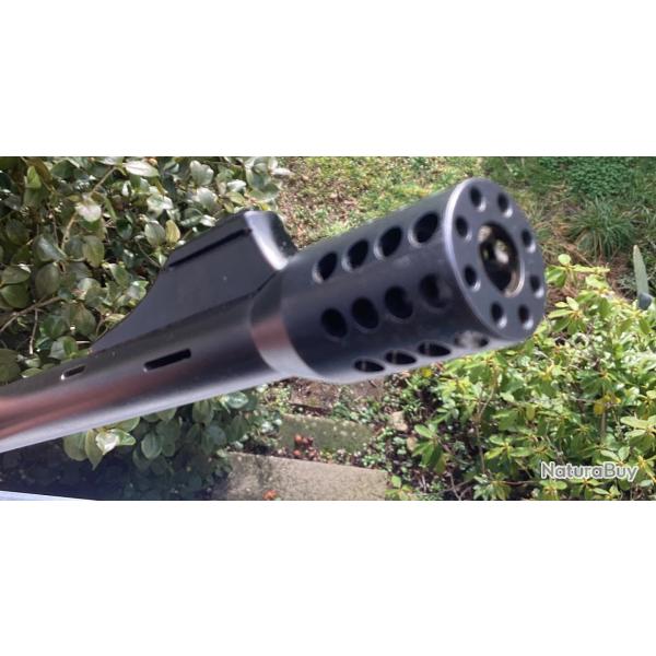 Canon Blaser R93 cal 375 Holland et Holland avec magnaport  + DF2000 + chargeur