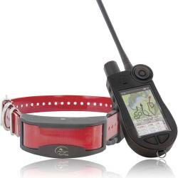 PACK Collier + Centrale Sportdog TEK 2.0