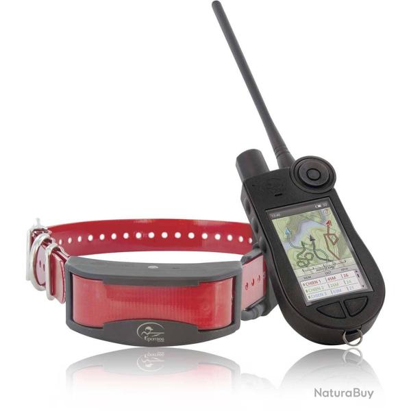 PACK Collier + Centrale Sportdog TEK 2.0