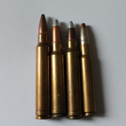 Lot cartouches de chasse