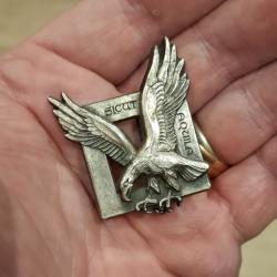 INSIGNE COMMANDOS DE L' AIR ( VARIANTE 1 )