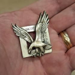 INSIGNE COMMANDOS DE L' AIR ( VARIANTE 2 )