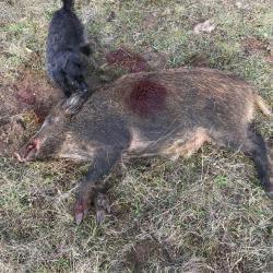 Offre chasse &agrave; la journ&eacute;e pour archer