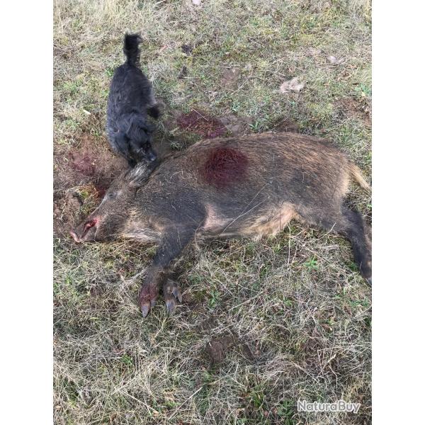 Offre chasse � la journ�e pour archer