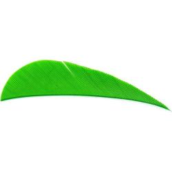 AVALON - Plumes Naturelles Paraboliques 2.5" RH (x50) VERT