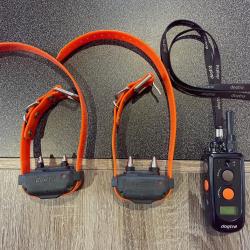 Collier Dogtra 1210NCP avec un second collier