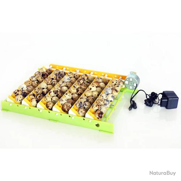 Couveuse automatique Cimuka CT-60-SH