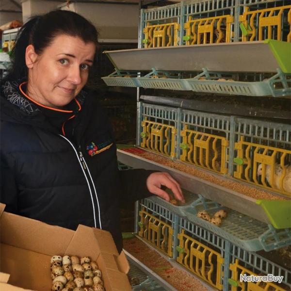 Cage cailles pondeuses �tage suppl�mentaire