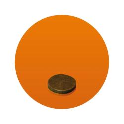 Rondelles en carton / Obturateurs - Diana - Calibre 12 - 100 pcs