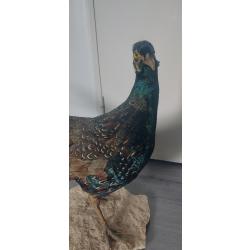 Faisan naturalis&eacute;