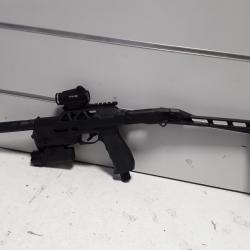 Pack ultime ! Vesta SENTINEL cal.50 18j + silencieux + crosse + point rouge +laser + lampe