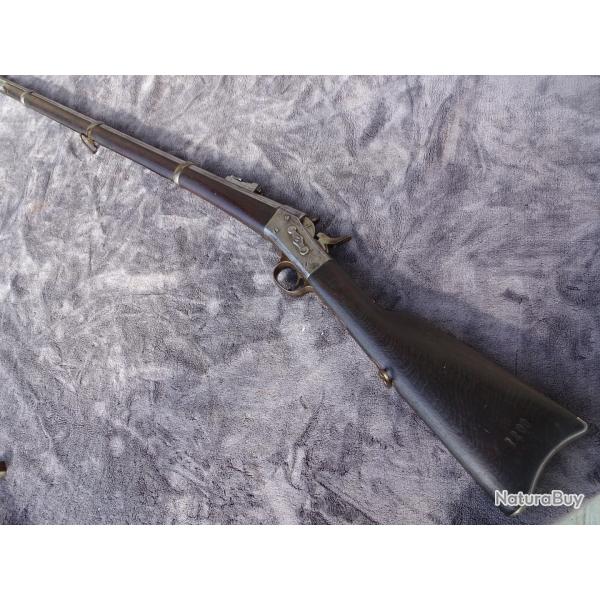 ETATS-UNIS. Beau Remington Rolling Block M 1866