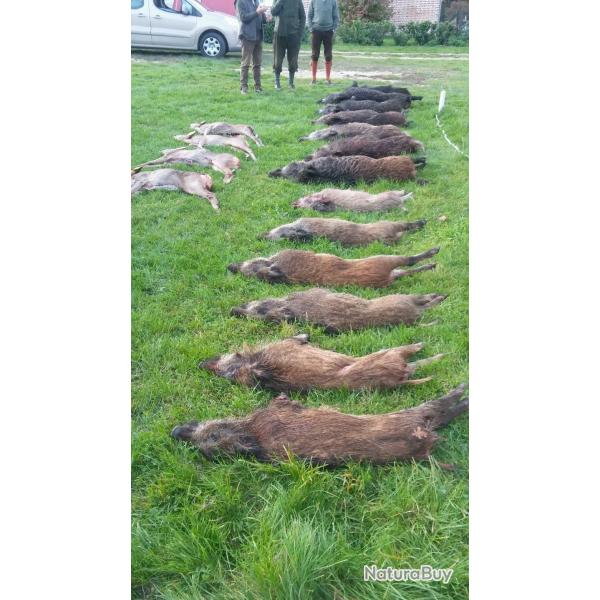 Recherche partenaire petit et grand gibier