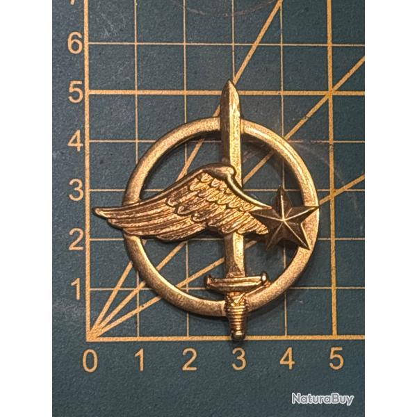 Insigne de b�ret de commando de l'air