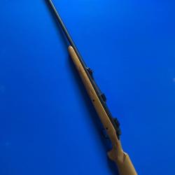Remington 700 300WM