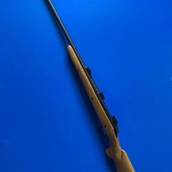 Remington 700 300WM