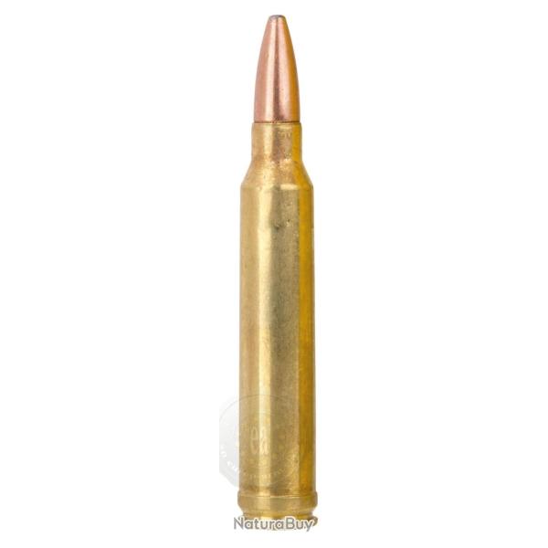 Munition de grande chasse Remington Cal. 300 Win .300 Win Mag 180 Grs