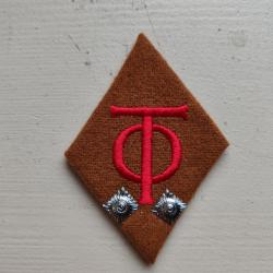 TRES BELLE R&Eacute;PLIQUE DE L INSIGNE EN TISSU DE L O.T. MODELE 3