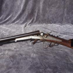 Joli fusil a chiens ext&eacute;rieurs