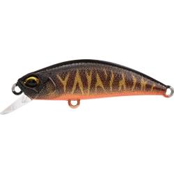 SPEARHEAD RYUKI 38 S - ACCZ570 BROWN TIGER OB UV (UF)