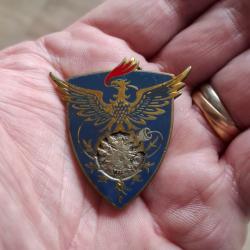 INSIGNE EAA 605 SAVIGNY EN SEPTAINE