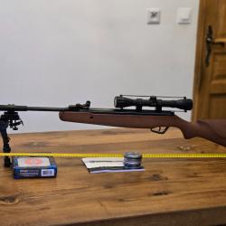 Carabine  air comprim&eacute; Stoeger X20