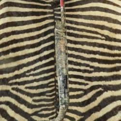 Fusil semi automatique WINCHESTER SX4 Camo Mobuc GAUCHER cal.12/89 canon 76cm 3 chokes 1/4 1/2 3/4