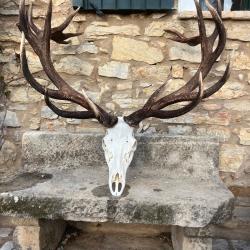 action de chasse a l'arc