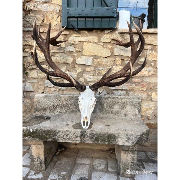 action de chasse a l'arc