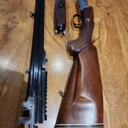 Express sabatti 9,3x74 avec lunette Vanguard