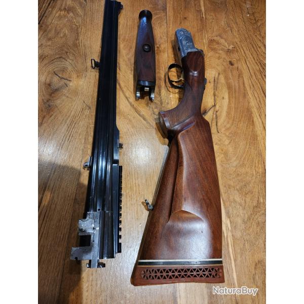 Express sabatti 9,3x74 avec lunette Vanguard