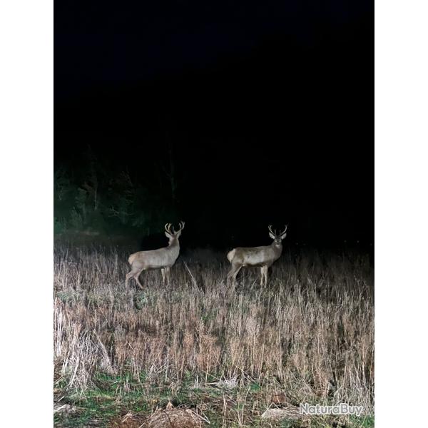 action chasse a l'arc