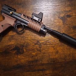 Body Kit Custom pour Crosman 2240