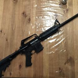 Cat&eacute;gorie C , olympique arms , mod&egrave;le car-ar