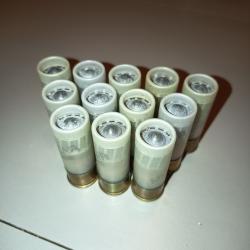 Lot de 12 balles Brenneke Municar calibre 12