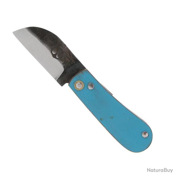 London Petit Ch�ne bleu - Fr�d�ric Marchand