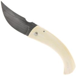 Berger Corse Damas Phacoch&egrave;re - Jos&eacute; Viale