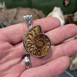 Pendentif ammonite ; argent 925