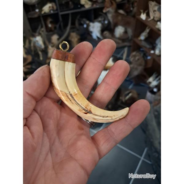 Pendentif dent phach�re #LM26