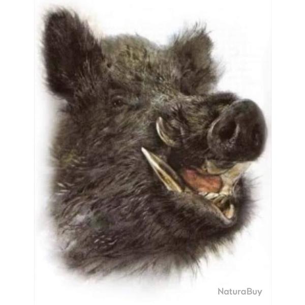 Chasse gros gibiers (77)