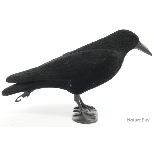 CORBEAU FLOCKE SUR PATTES