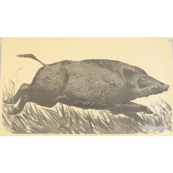 PACK  de 10 cible sanglier courant