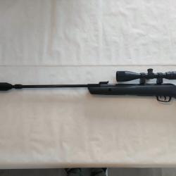 Carabine air comprim&eacute; Gamo big cat 1000 EB - IGT