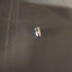 500 Plombs pour carabine air comprim&eacute; Bulldog