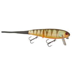 Poisson nageur ILLEX Flat bone clicker Agressive perch